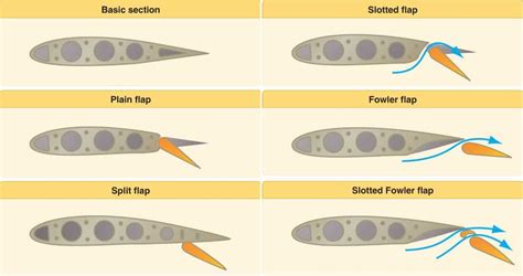types of flaps.